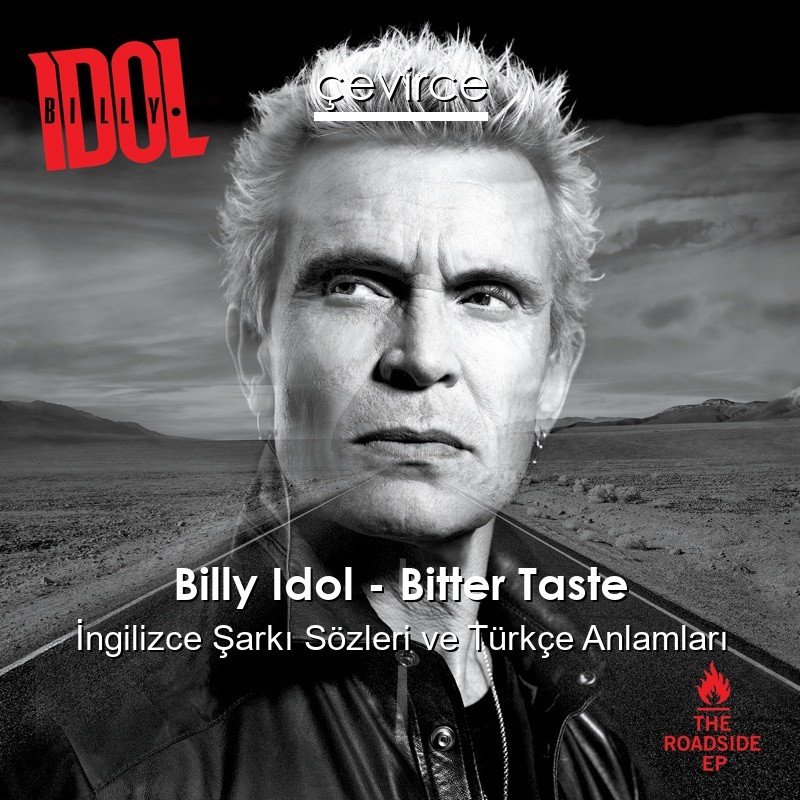 Billy Idol – Bitter Taste İngilizce Şarkı Sözleri Türkçe Anlamları