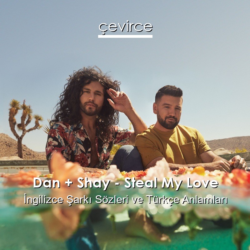 Dan + Shay – Steal My Love İngilizce Şarkı Sözleri Türkçe Anlamları