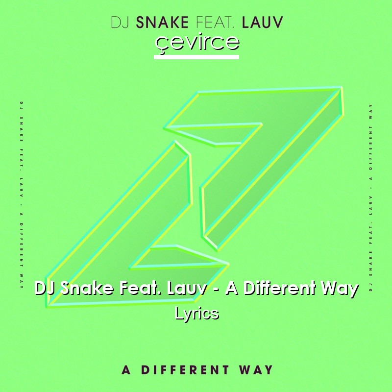 DJ Snake Feat. Lauv – A Different Way Lyrics