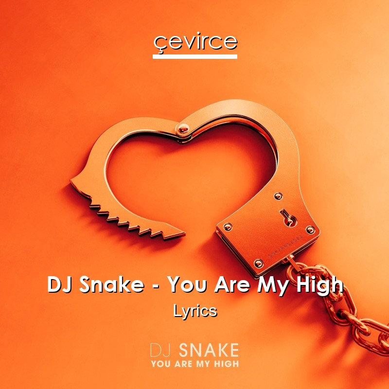 DJ Snake – You Are My High Lyrics