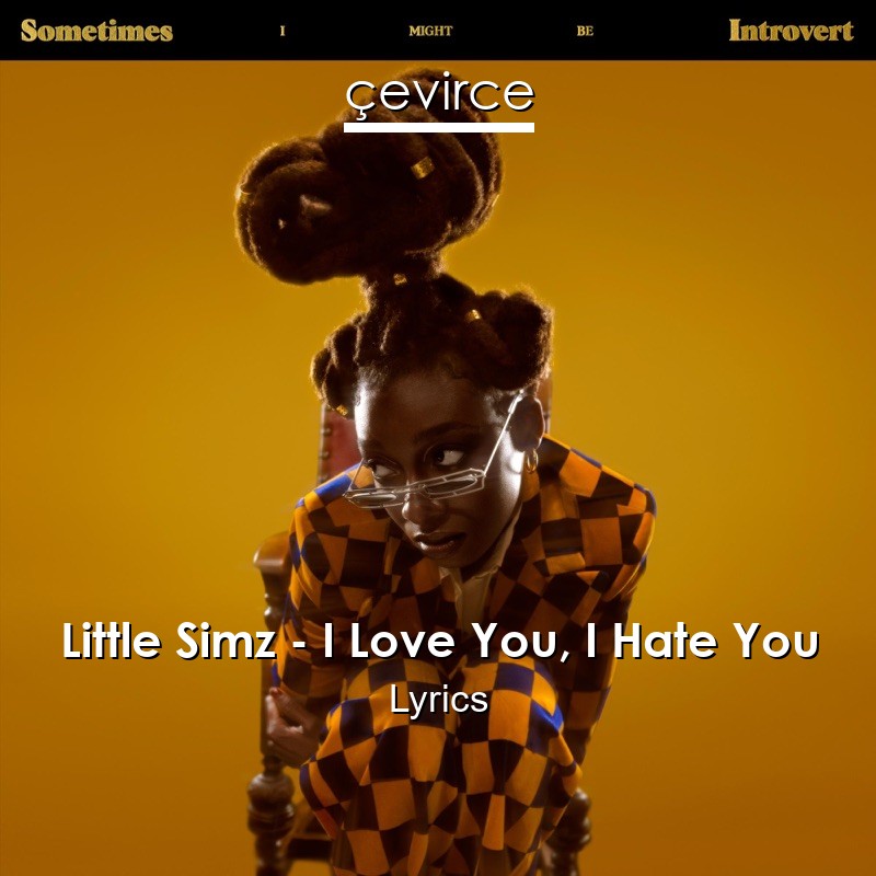 Little Simz – I Love You, I Hate You Lyrics