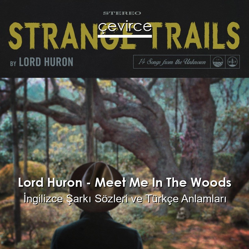 Lord Huron – Meet Me In The Woods İngilizce Şarkı Sözleri Türkçe Anlamları