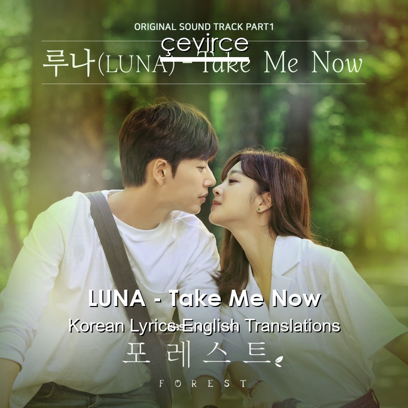 LUNA – Take Me Now Korean Lyrics English Translations