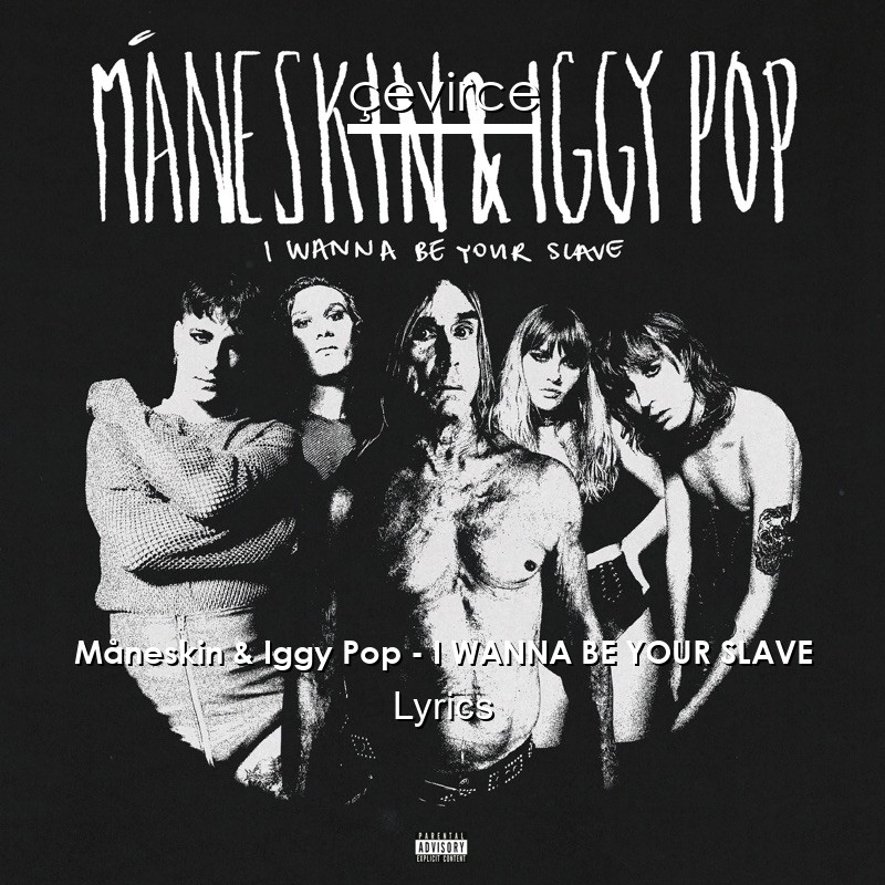 Måneskin & Iggy Pop – I WANNA BE YOUR SLAVE Lyrics