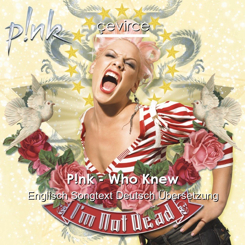 P!nk – Who Knew Englisch Songtext Deutsch Übersetzung