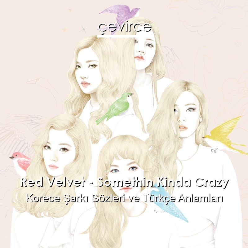 Red Velvet – Somethin Kinda Crazy Korece Şarkı Sözleri Türkçe Anlamları