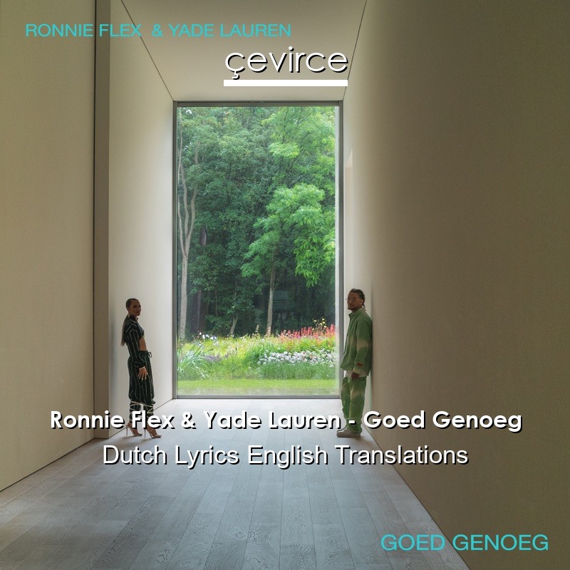 Ronnie Flex & Yade Lauren – Goed Genoeg Dutch Lyrics English Translations