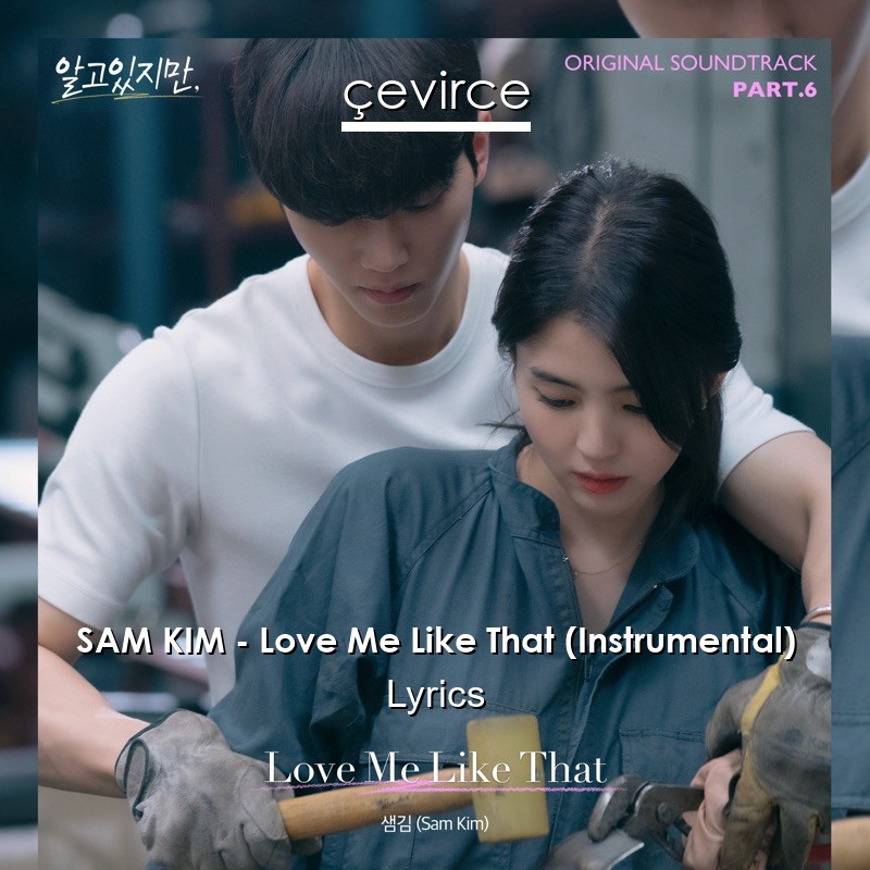 SAM KIM – Love Me Like That (Instrumental) Lyrics