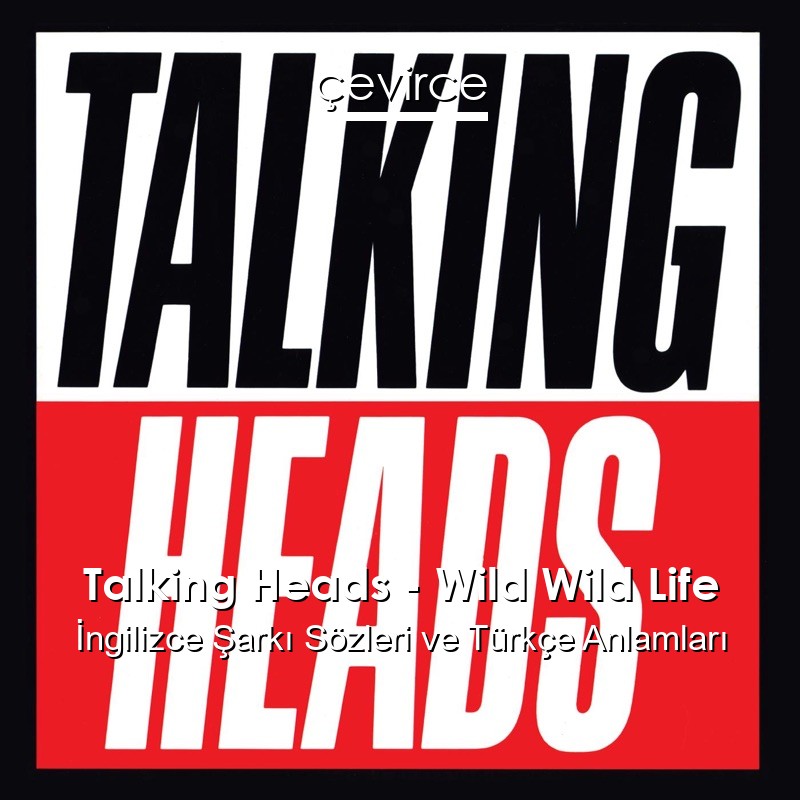 Talking Heads – Wild Wild Life İngilizce Şarkı Sözleri Türkçe Anlamları