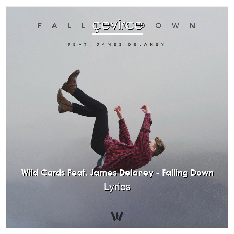 Wild Cards Feat. James Delaney – Falling Down Lyrics