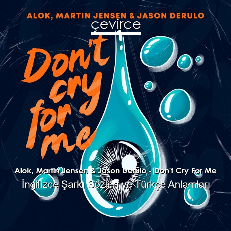 Alok, Martin Jensen & Jason Derulo – Don’t Cry For Me İngilizce Şarkı Sözleri Türkçe Anlamları