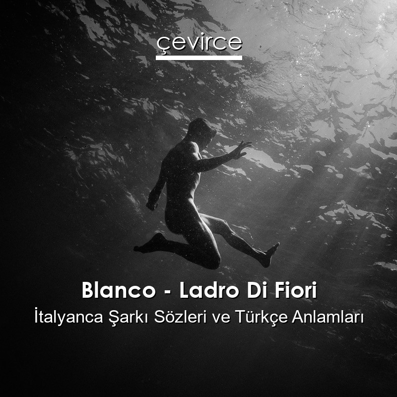 Blanco – Ladro Di Fiori İtalyanca Şarkı Sözleri Türkçe Anlamları