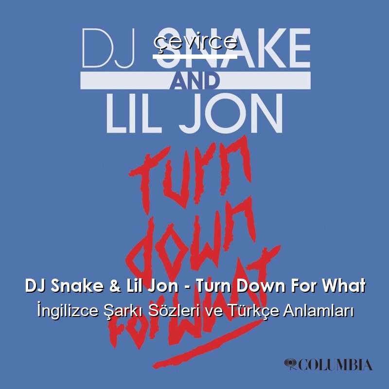 DJ Snake & Lil Jon – Turn Down For What İngilizce Şarkı Sözleri Türkçe Anlamları