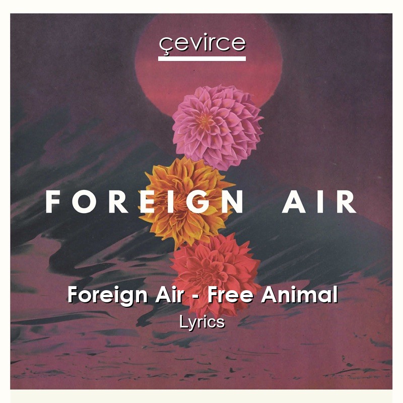 Foreign Air – Free Animal Lyrics