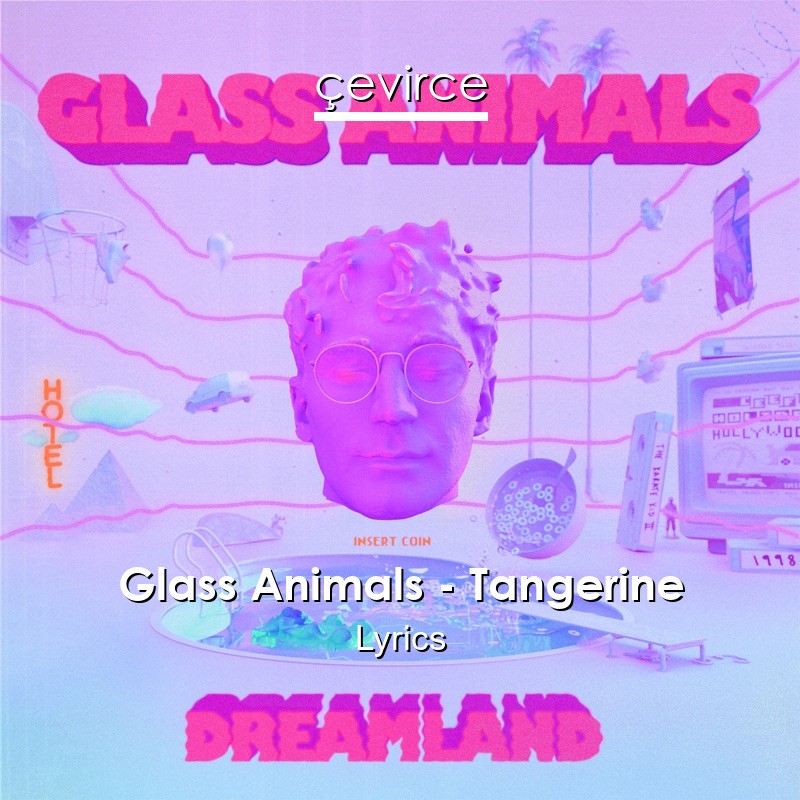 Glass Animals – Tangerine Lyrics