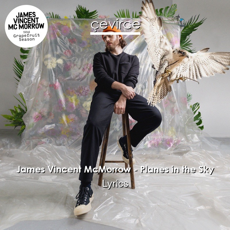 James Vincent McMorrow – Planes in the Sky Lyrics