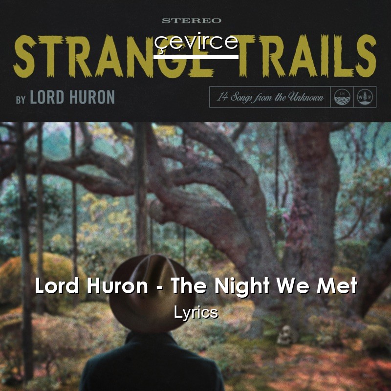 Lord Huron – The Night We Met Lyrics