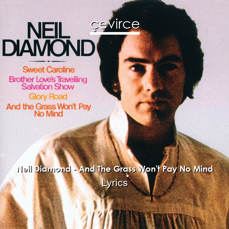 Neil Diamond – And The Grass Won’t Pay No Mind Lyrics