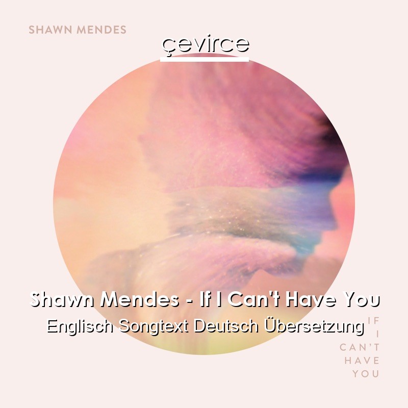 Shawn Mendes – If I Can’t Have You Englisch Songtext Deutsch Übersetzung