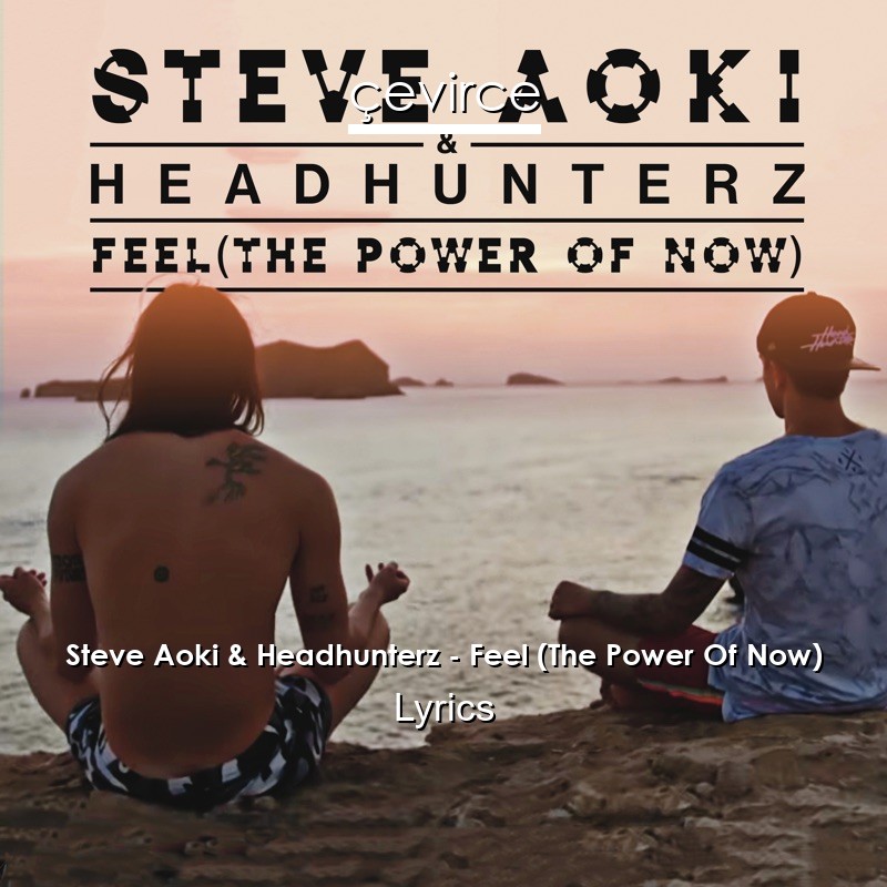 Steve Aoki & Headhunterz – Feel (The Power Of Now) Lyrics