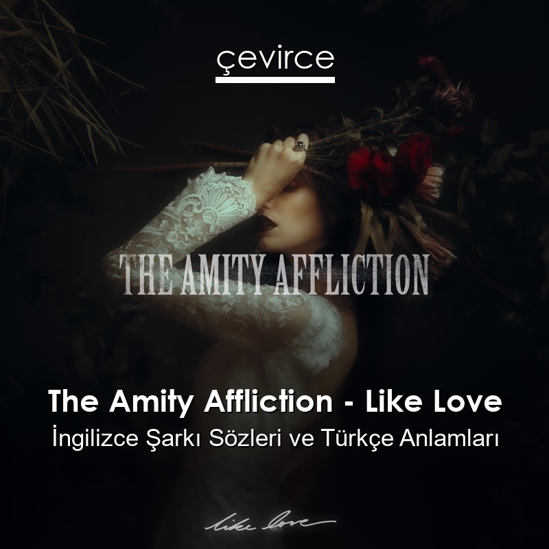 The Amity Affliction – Like Love İngilizce Şarkı Sözleri Türkçe Anlamları