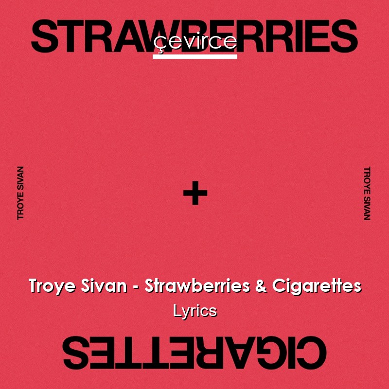 Troye Sivan – Strawberries & Cigarettes Lyrics