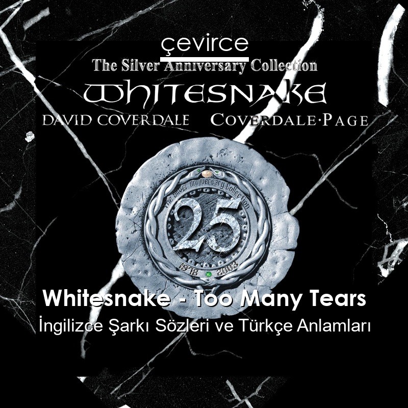 Whitesnake – Too Many Tears İngilizce Şarkı Sözleri Türkçe Anlamları