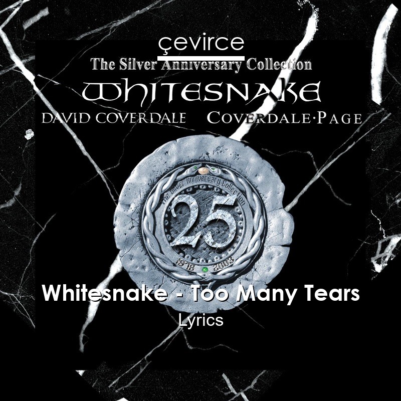 Whitesnake – Too Many Tears Lyrics