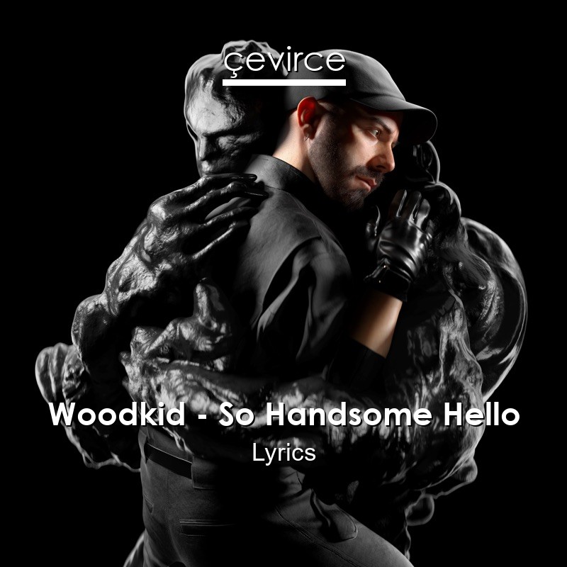 Woodkid – So Handsome Hello Lyrics