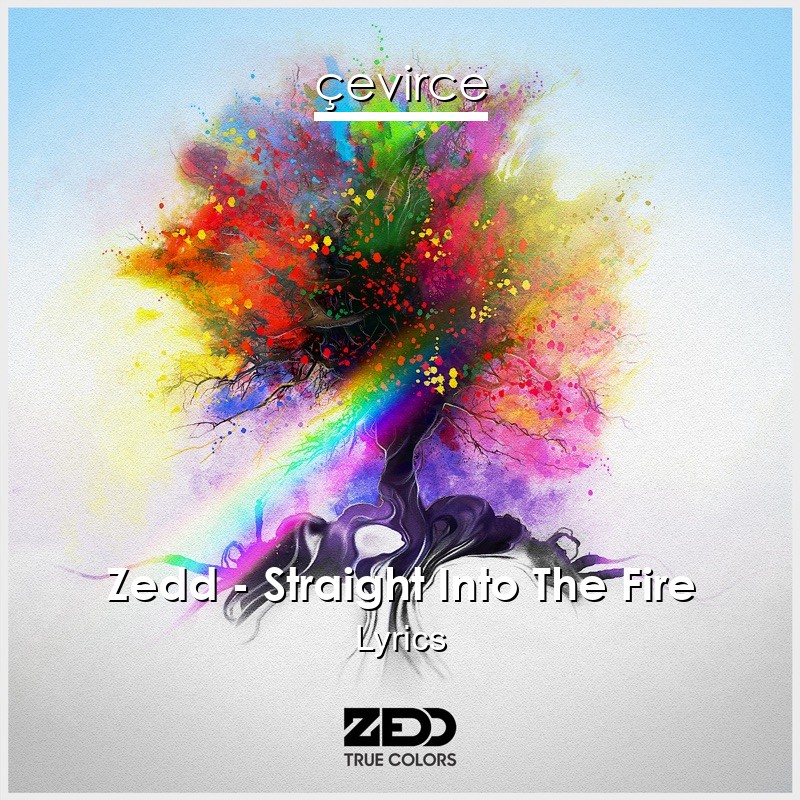 Zedd – Straight Into The Fire Lyrics