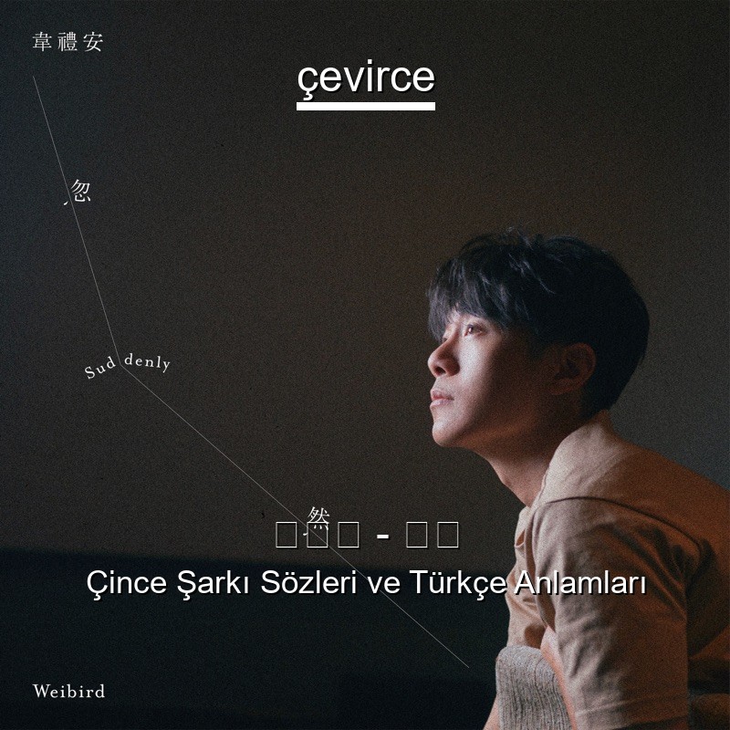 韋禮安 – 忽然 Çince Şarkı Sözleri Türkçe Anlamları