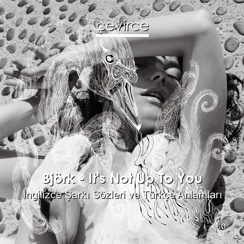 Björk – It’s Not Up To You İngilizce Şarkı Sözleri Türkçe Anlamları