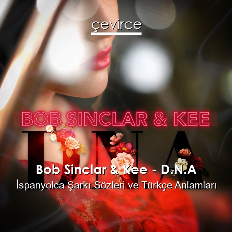 Bob Sinclar & Kee – D.N.A İspanyolca Şarkı Sözleri Türkçe Anlamları