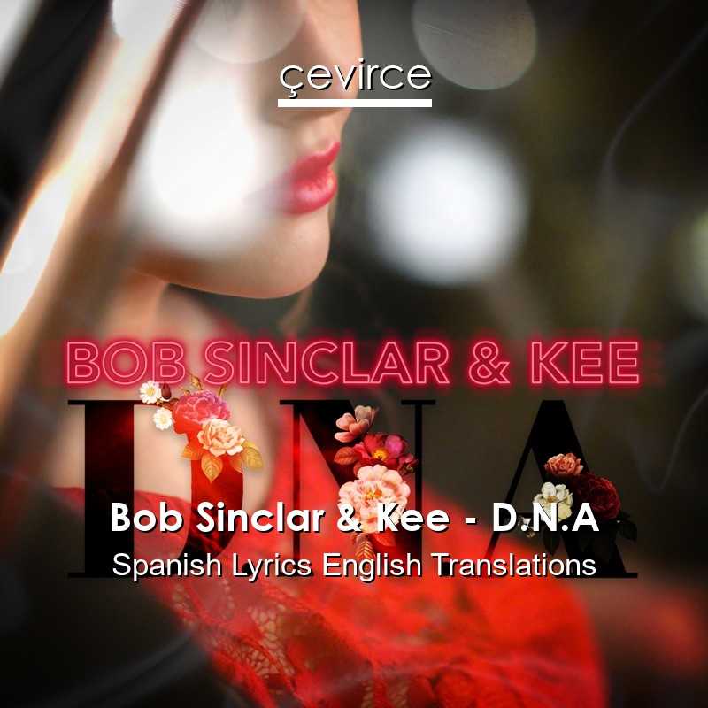 Bob Sinclar & Kee – D.N.A Spanish Lyrics English Translations