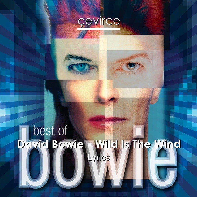 David Bowie – Wild Is The Wind Lyrics