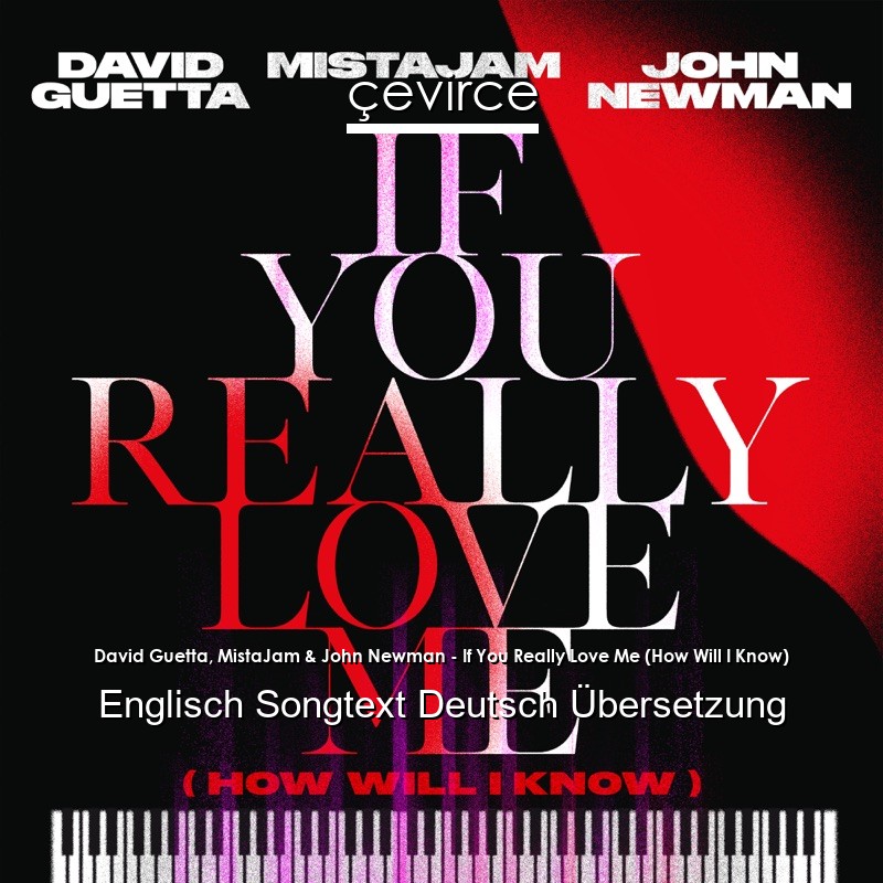 David Guetta, MistaJam & John Newman – If You Really Love Me (How Will I Know) Englisch Songtext Deutsch Übersetzung