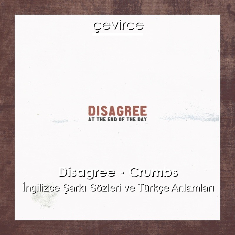 Disagree – Crumbs İngilizce Şarkı Sözleri Türkçe Anlamları