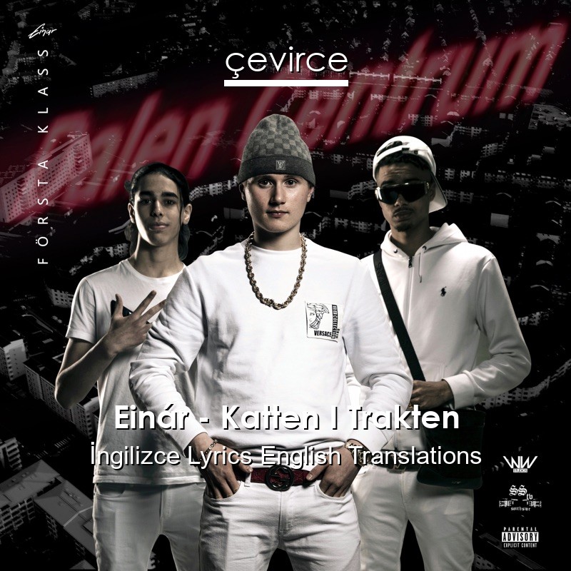 Einár – Katten I Trakten  Lyrics English Translations