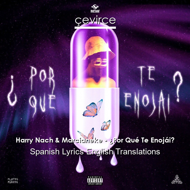 Harry Nach & Marcianeke – ¿Por Qué Te Enojái? Spanish Lyrics English Translations