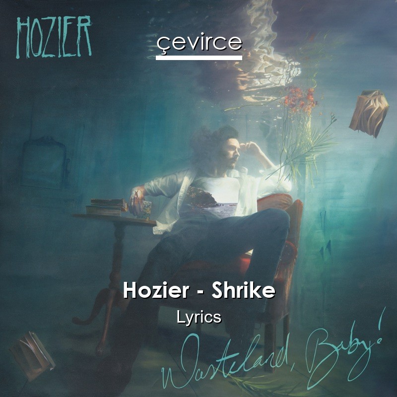 Hozier – Shrike Lyrics