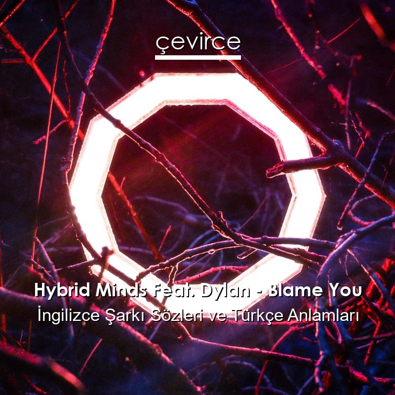 Hybrid Minds Feat. Dylan – Blame You İngilizce Şarkı Sözleri Türkçe Anlamları