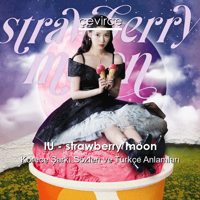 IU – strawberry moon Korece Şarkı Sözleri Türkçe Anlamları