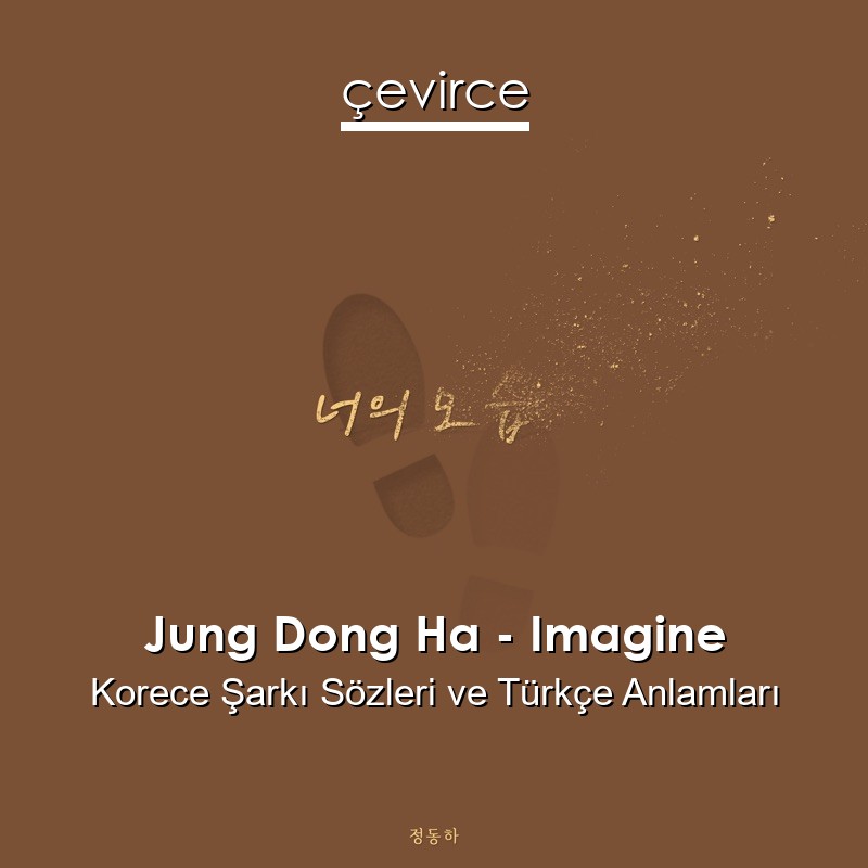 Jung Dong Ha – Imagine Korece Şarkı Sözleri Türkçe Anlamları