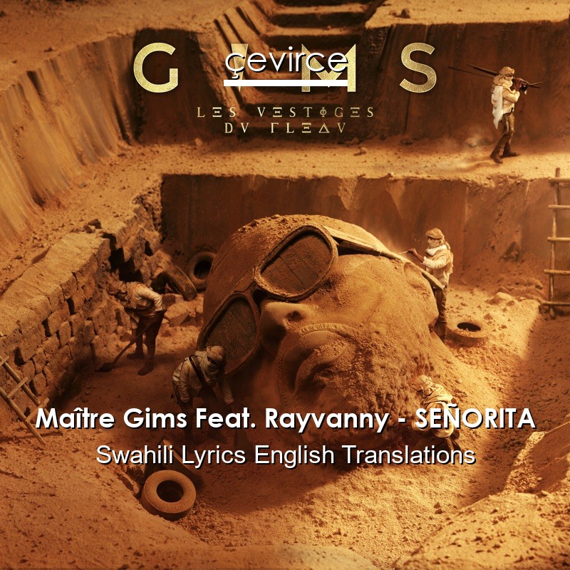 Maître Gims Feat. Rayvanny – SEÑORITA Swahili Lyrics English Translations