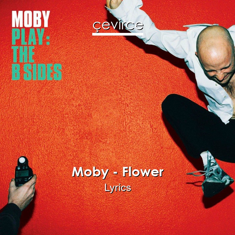 Moby Flower Lyrics lyrics evirce