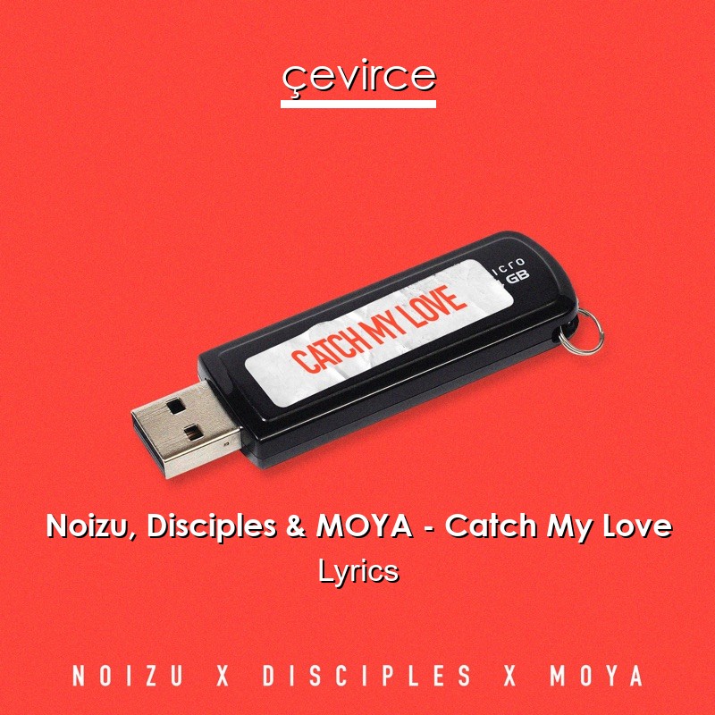 Noizu, Disciples & MOYA – Catch My Love Lyrics