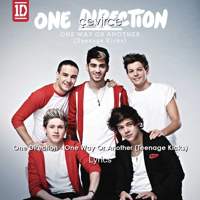 One Direction – One Way Or Another (Teenage Kicks) Lyrics