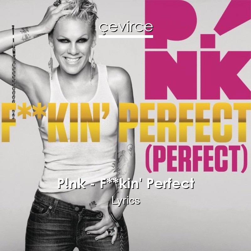 P!nk – F**kin’ Perfect Lyrics