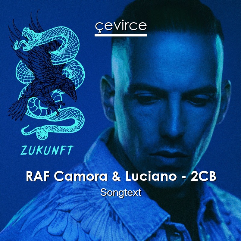 RAF Camora & Luciano – 2CB Songtext