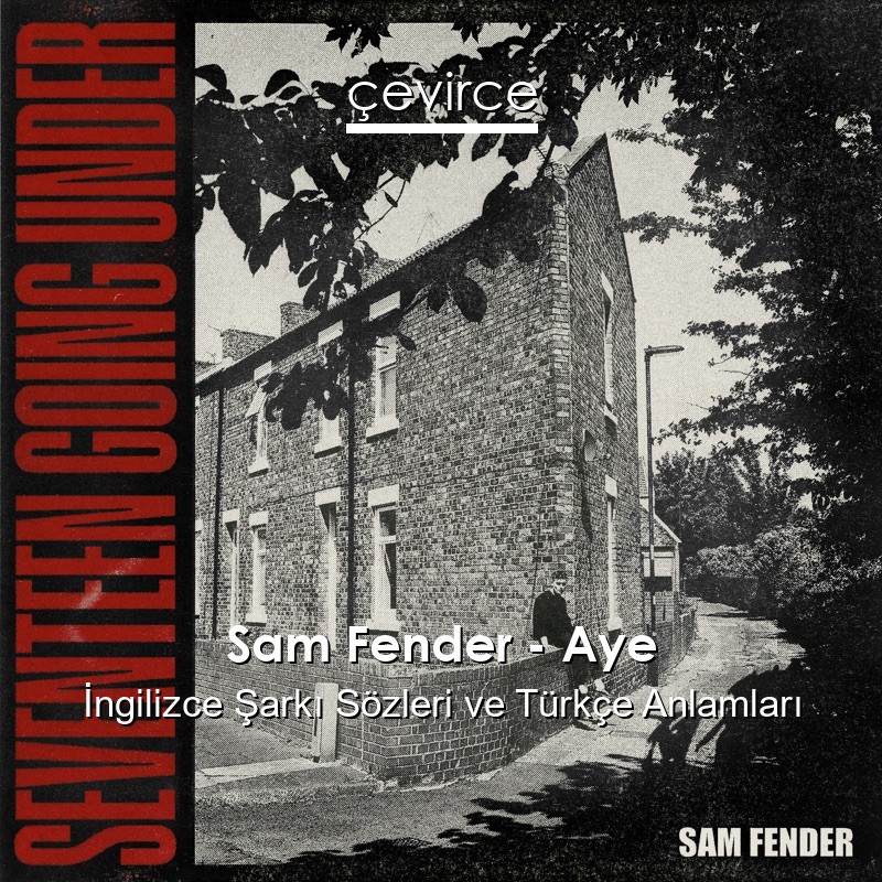 Sam Fender – Aye İngilizce Şarkı Sözleri Türkçe Anlamları